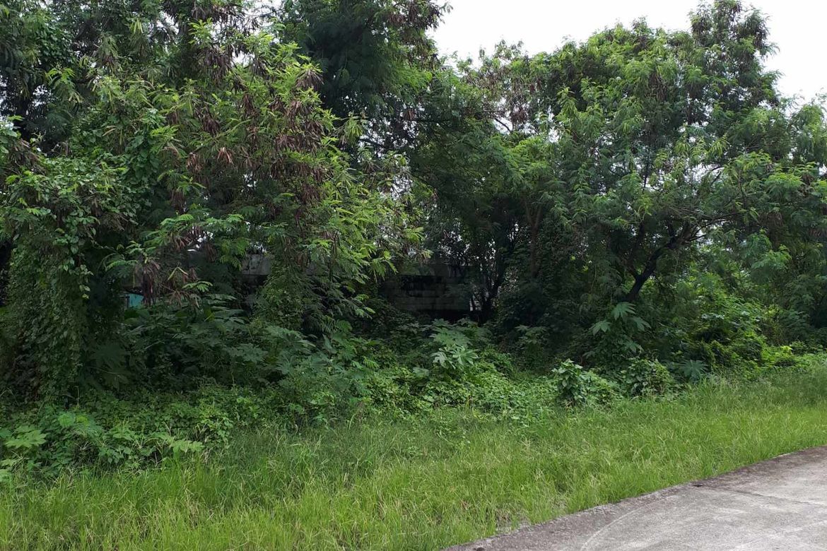Land for Sale in Piel, Baliuag, Bulacan – photo 7
