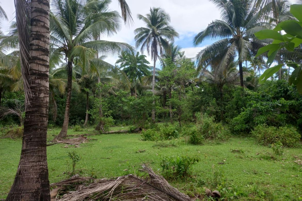 Land for Sale in Pinagdapian, Del Gallego, Camarines Sur – photo 4