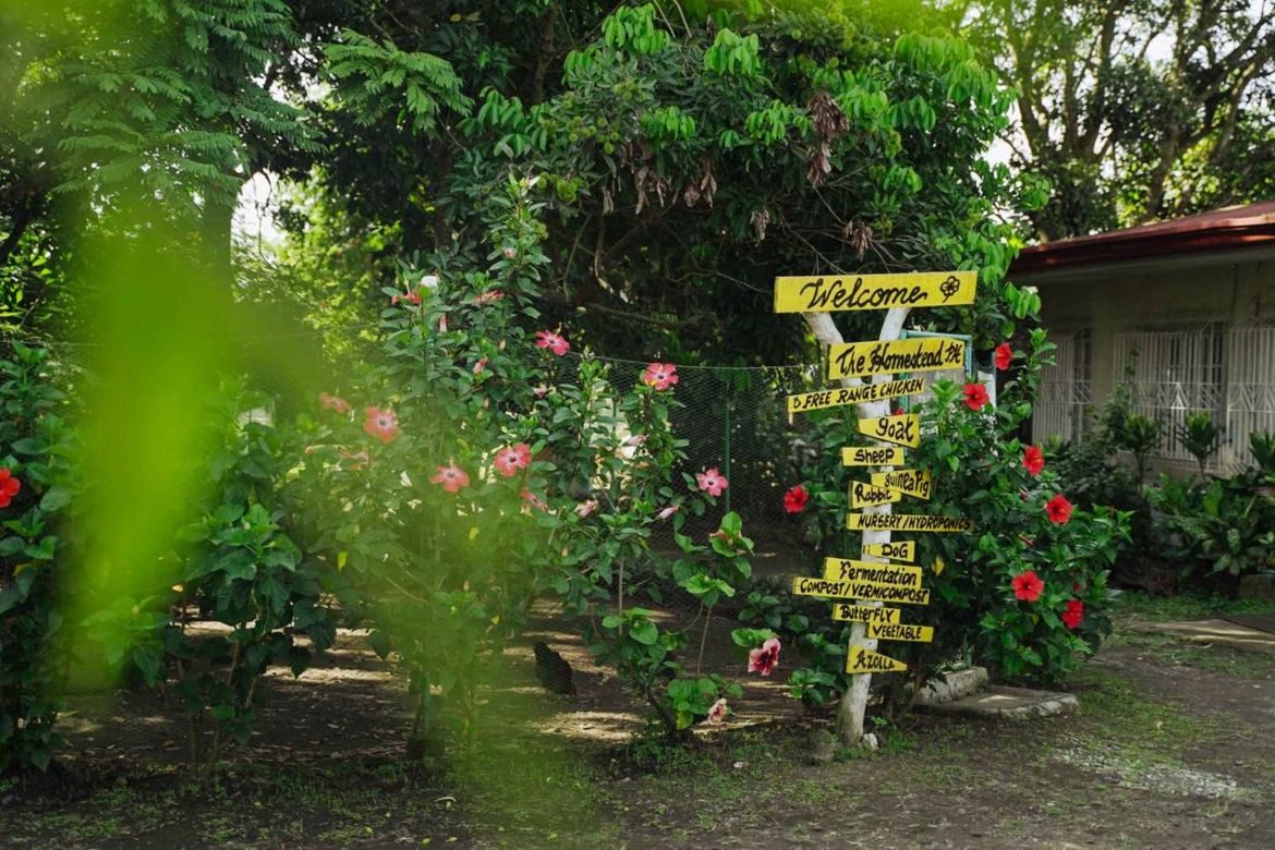 Land for Sale in Pinagkawitan, Lipa, Batangas – photo 2