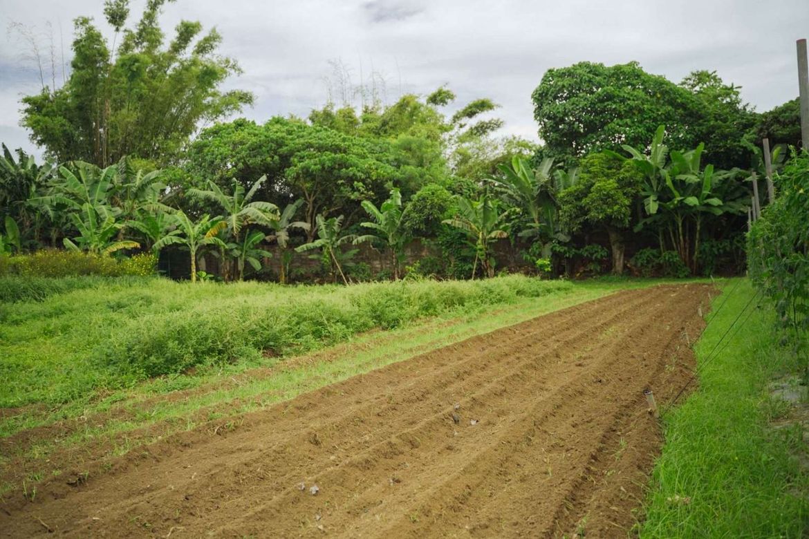 Land for Sale in Pinagkawitan, Lipa, Batangas – photo 4