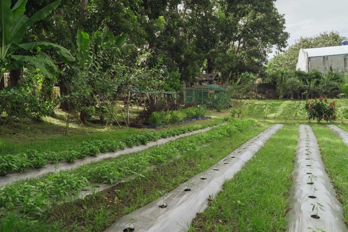 Land for Sale in Pinagkawitan, Lipa, Batangas – photo 7