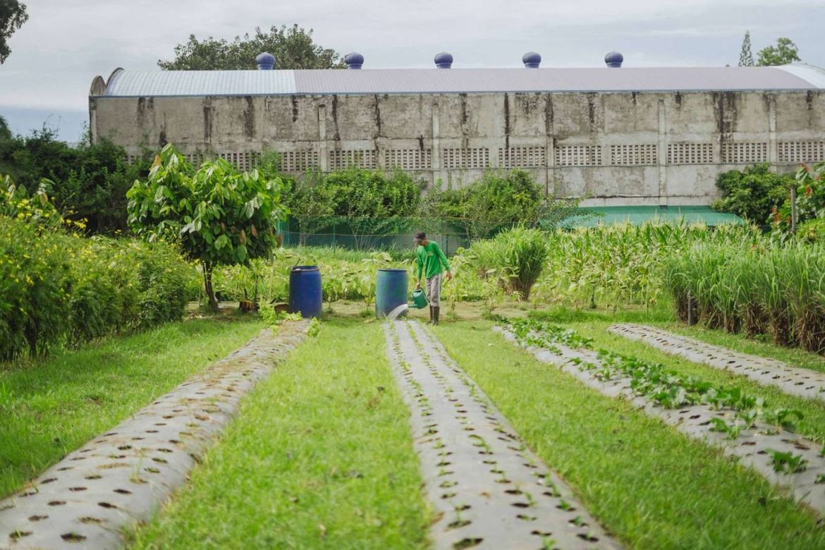 Land for Sale in Pinagkawitan, Lipa, Batangas – photo 8