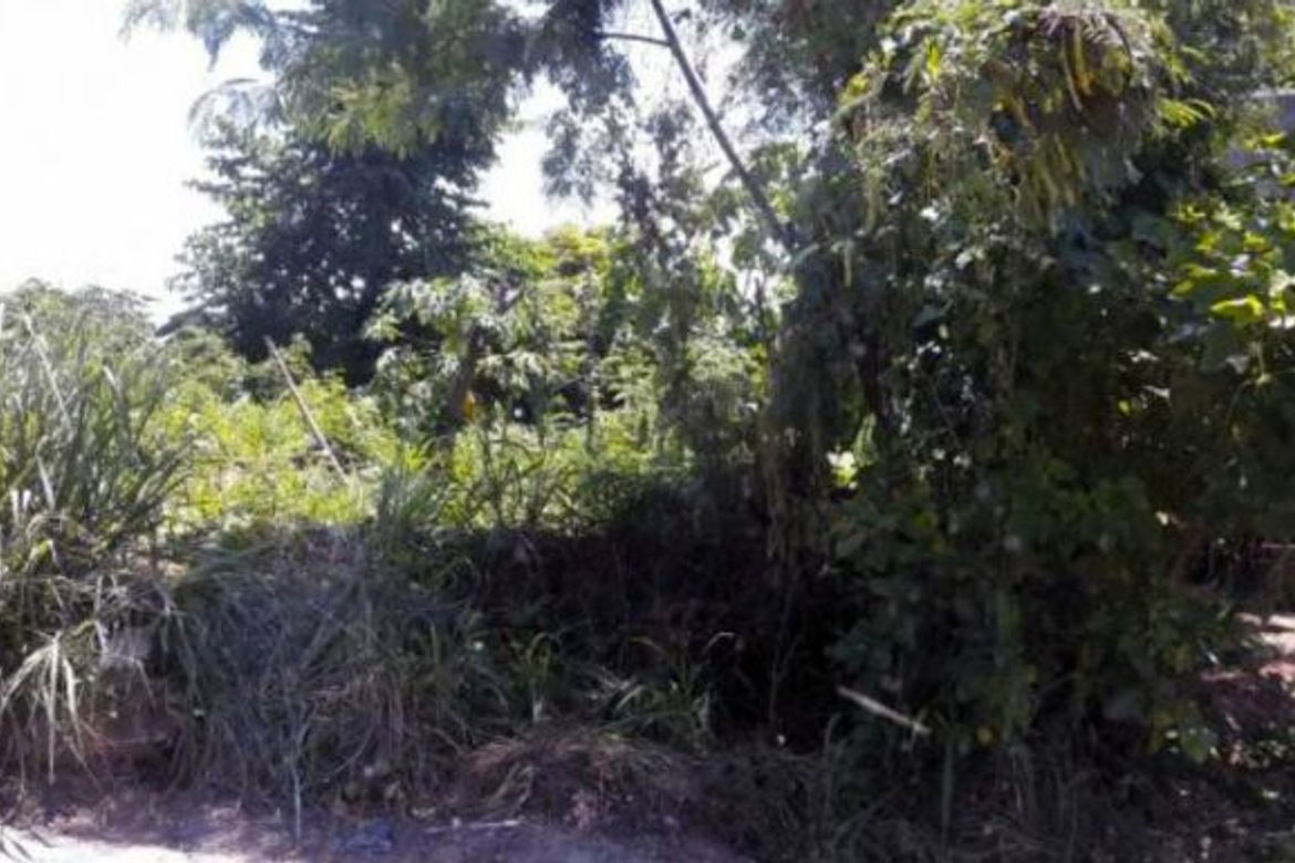 Land for Sale in Pinagsama, Taguig, Metro Manila – photo 3