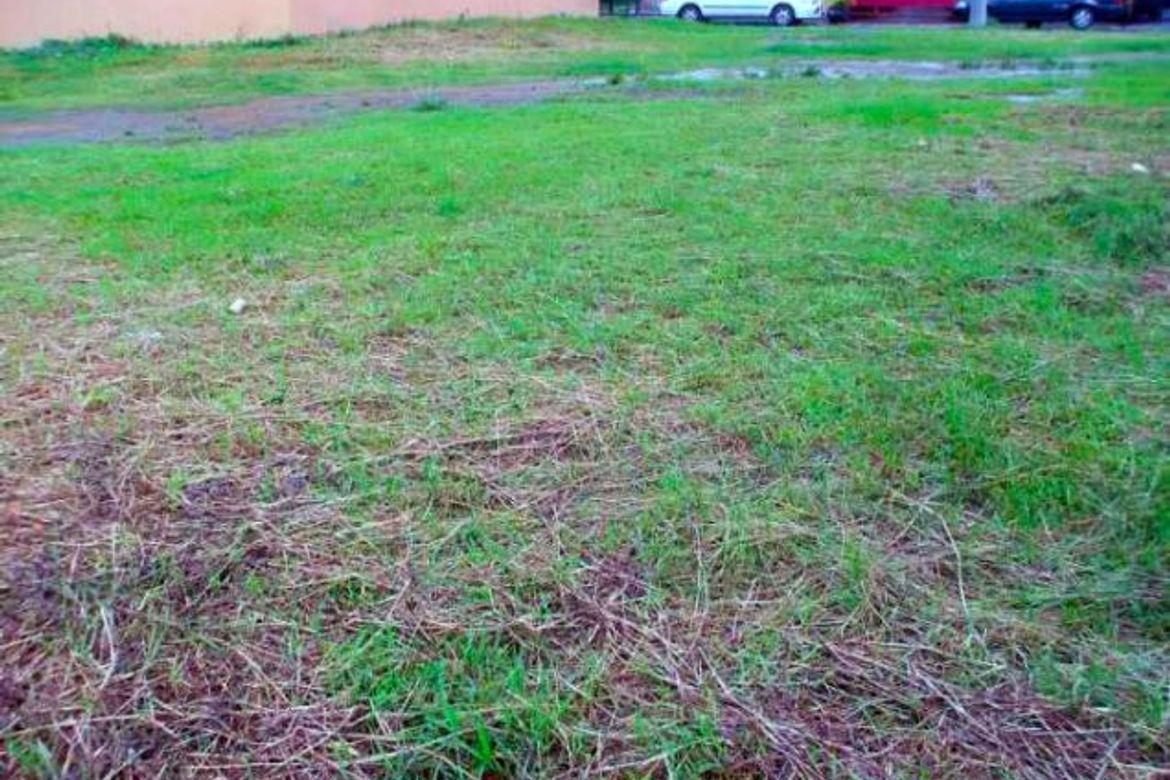 Land for Sale in Pinagsama, Taguig, Metro Manila – photo 7