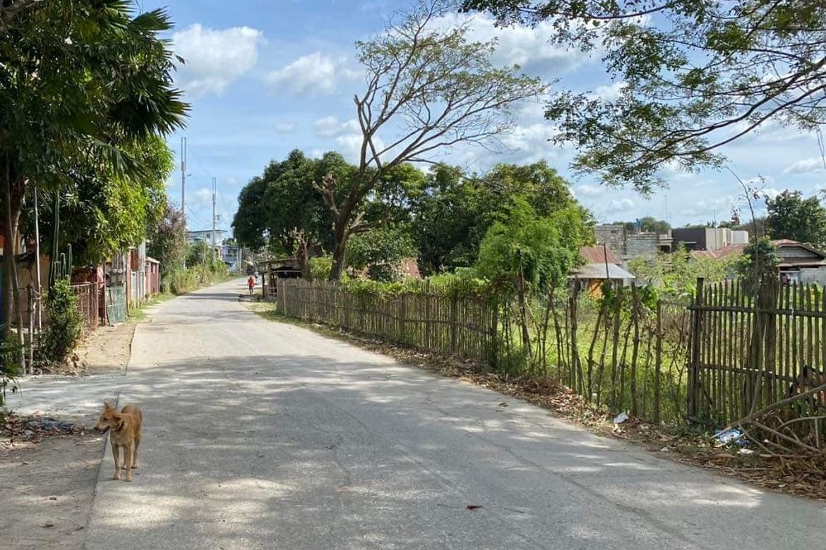 Land for Sale in Pinagsanhan I B, Maragondon, Cavite – photo 2