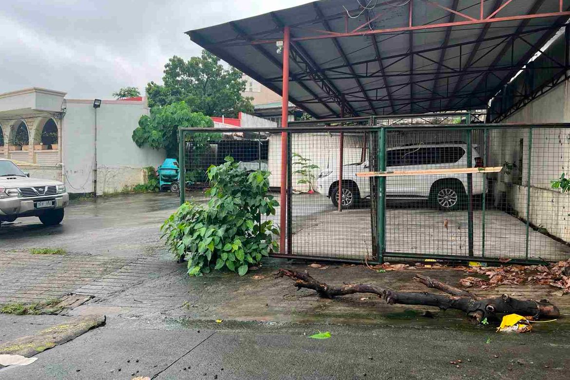 Land for Sale in Pineda, Pasig, Metro Manila – photo 2
