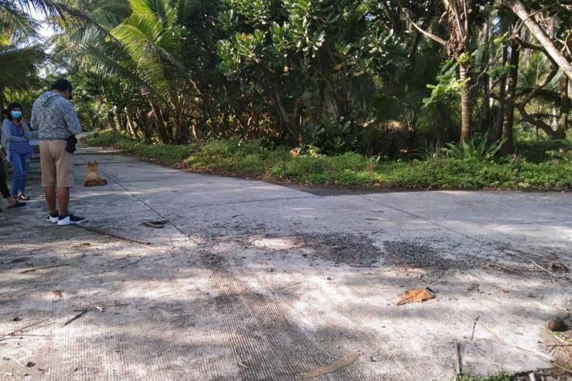 Land for Sale in Pingit, Baler, Aurora – photo 3