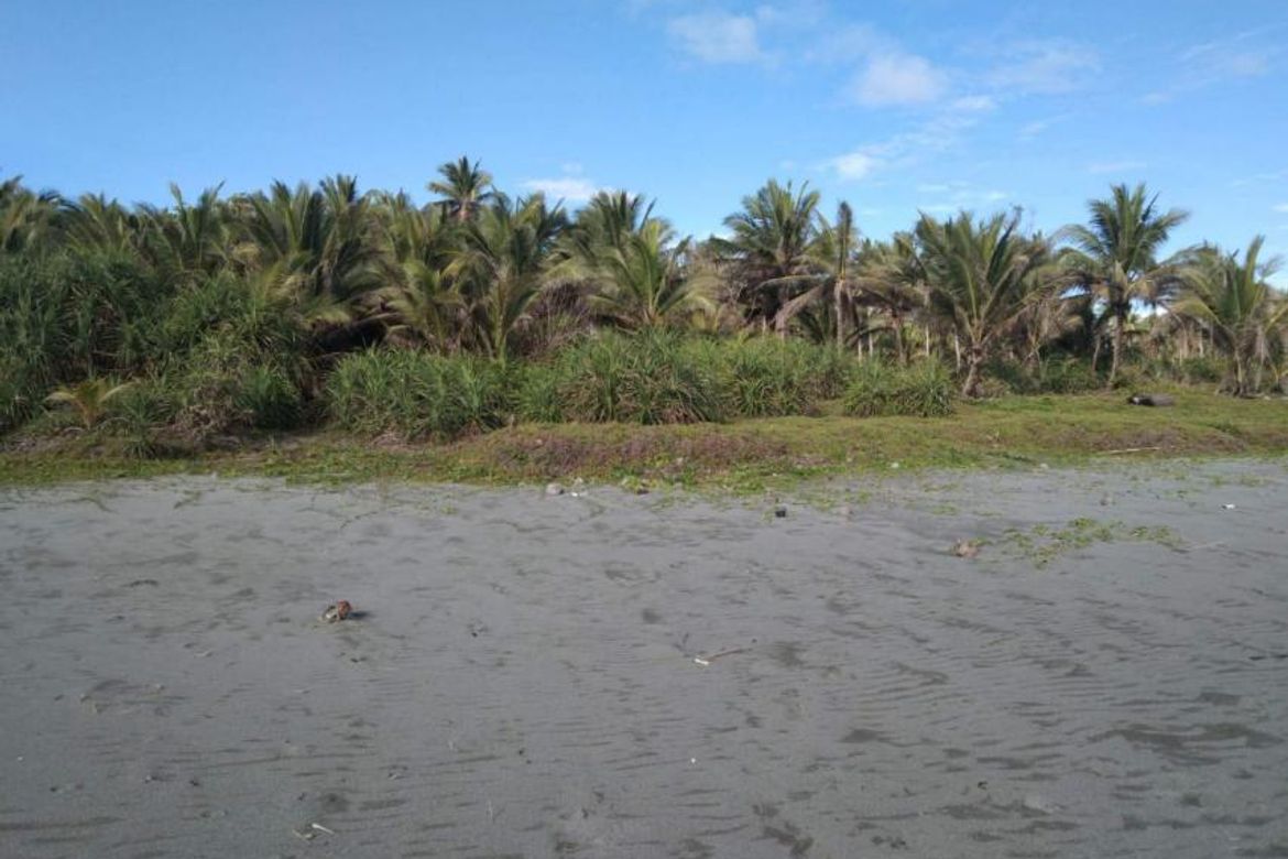 Land for Sale in Pingit, Baler, Aurora – photo 4