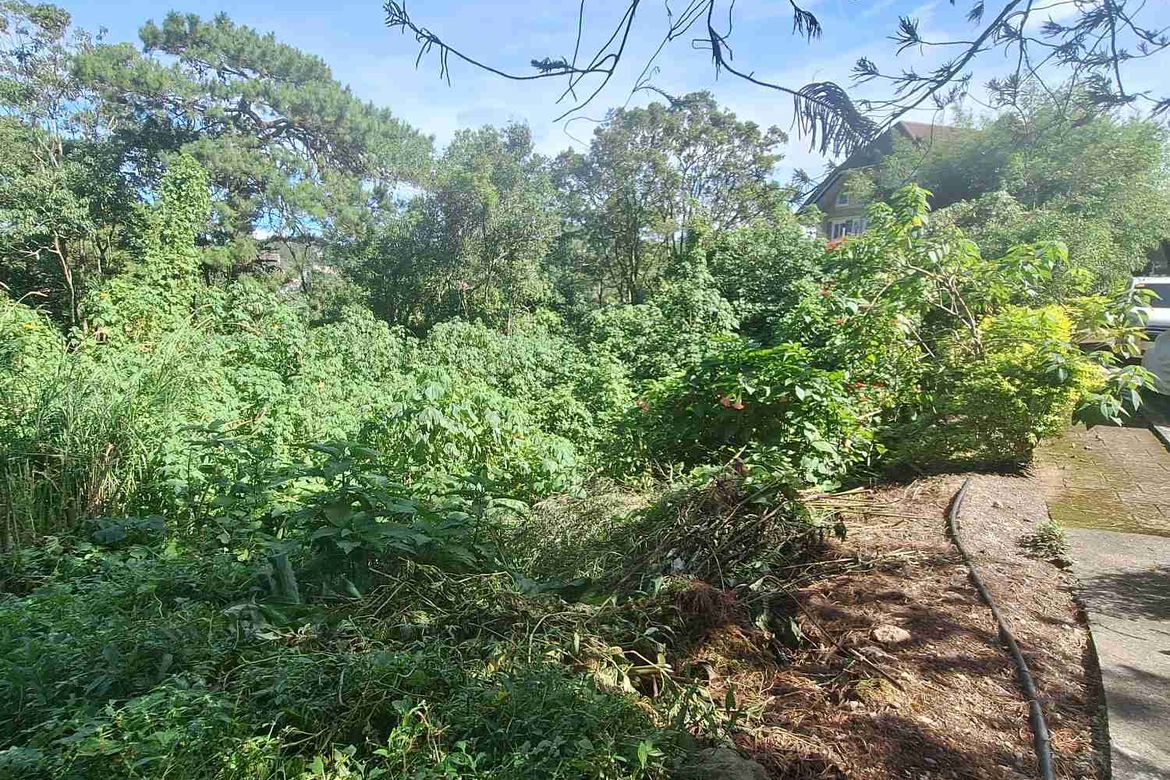 Land for Sale in Pinsao Proper, Baguio, Benguet – photo 2
