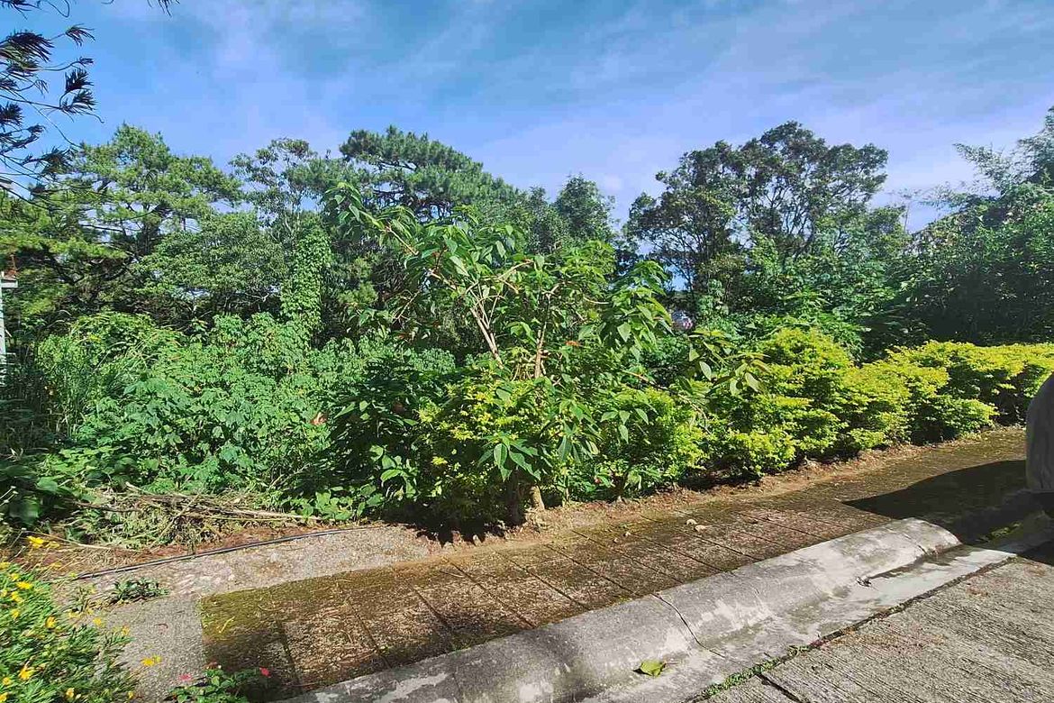 Land for Sale in Pinsao Proper, Baguio, Benguet – photo 6