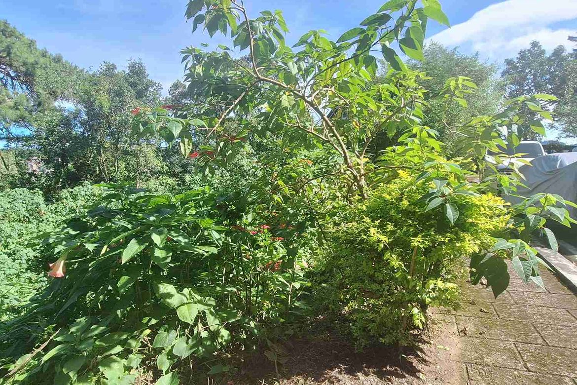 Land for Sale in Pinsao Proper, Baguio, Benguet – photo 7