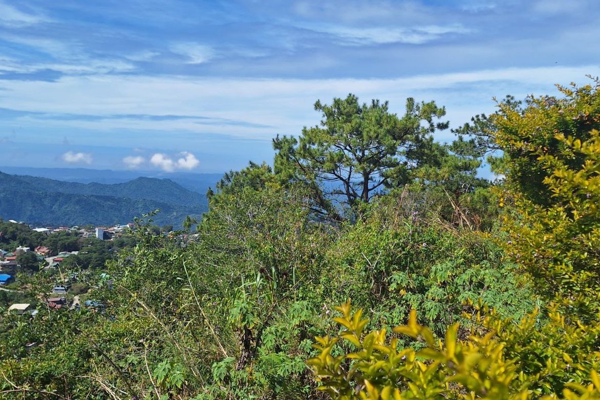 Land for Sale in Pinsao Proper, Baguio, Benguet – photo 2