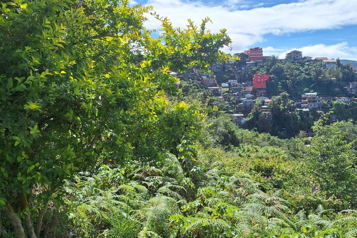 Land for Sale in Pinsao Proper, Baguio, Benguet – photo 5
