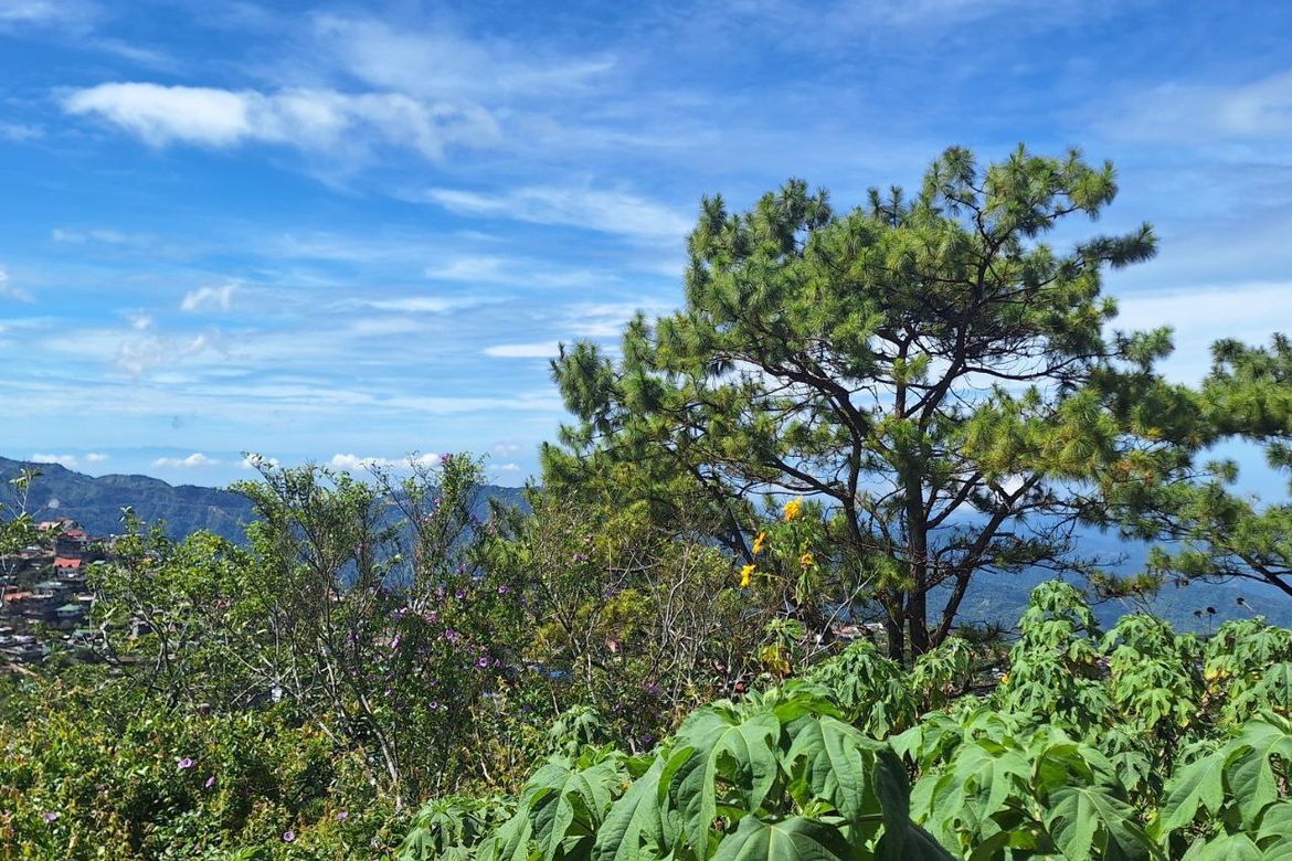 Land for Sale in Pinsao Proper, Baguio, Benguet – photo 7