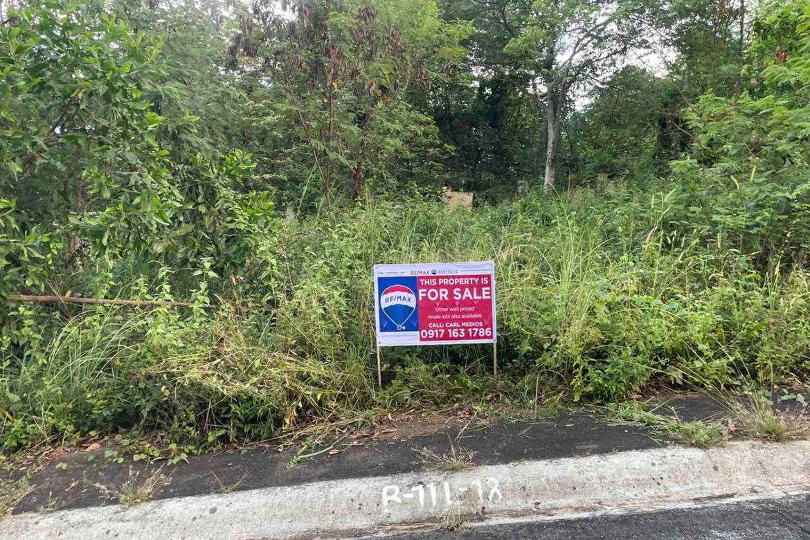 Land for Sale in Pintong Bocawe, San Mateo, Rizal