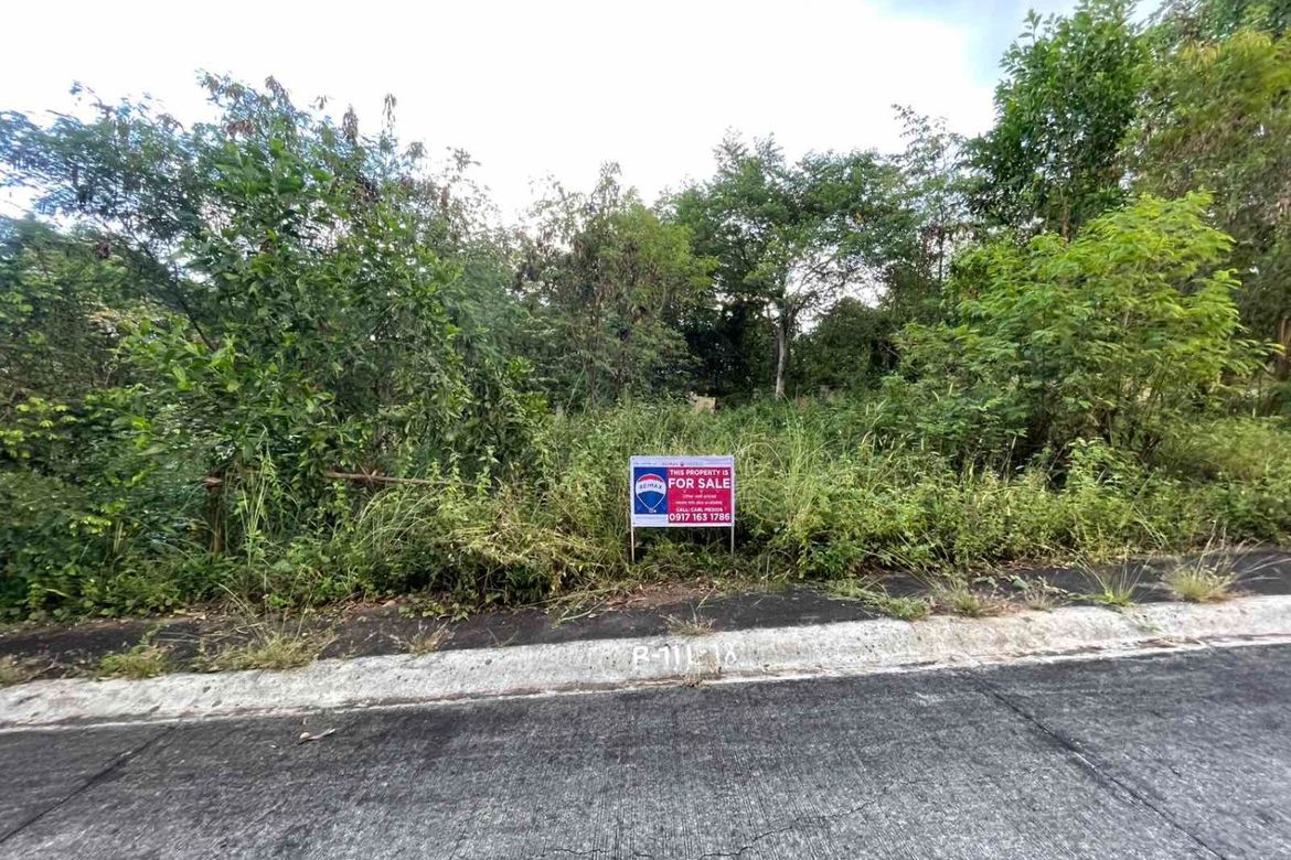 Land for Sale in Pintong Bocawe, San Mateo, Rizal – photo 2