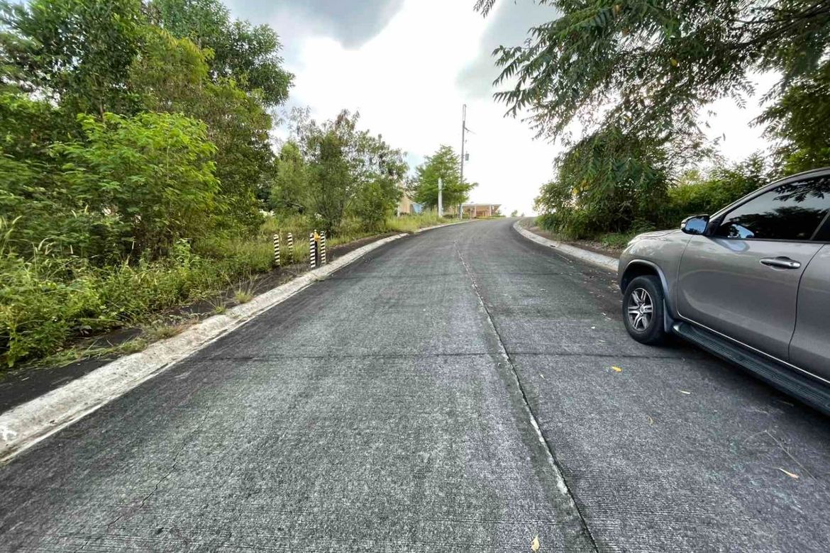 Land for Sale in Pintong Bocawe, San Mateo, Rizal – photo 4