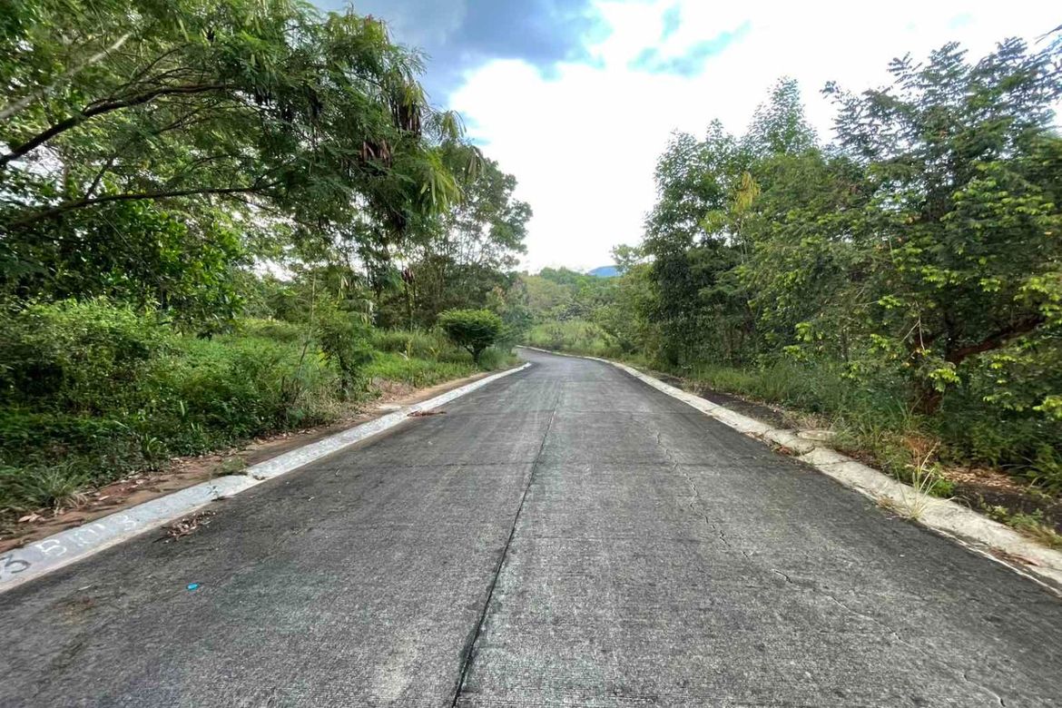 Land for Sale in Pintong Bocawe, San Mateo, Rizal – photo 5