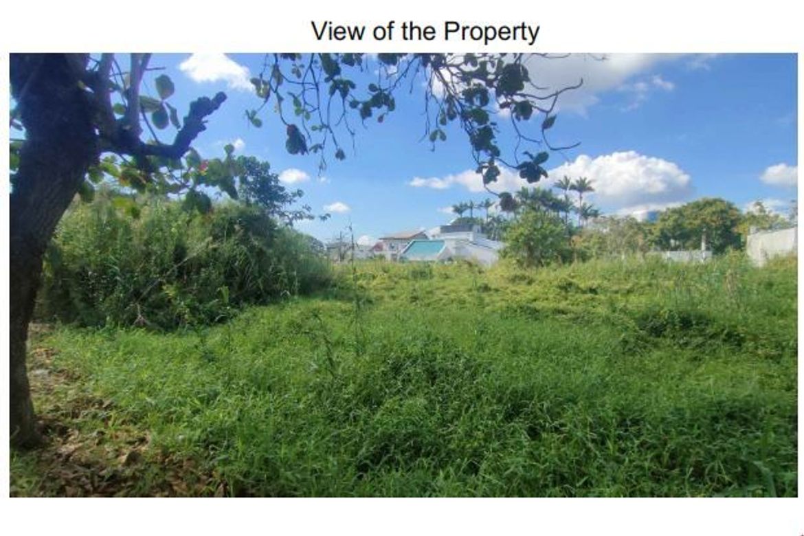 Land for Sale in Pio Cruzcosa, Calumpit, Bulacan – photo 4