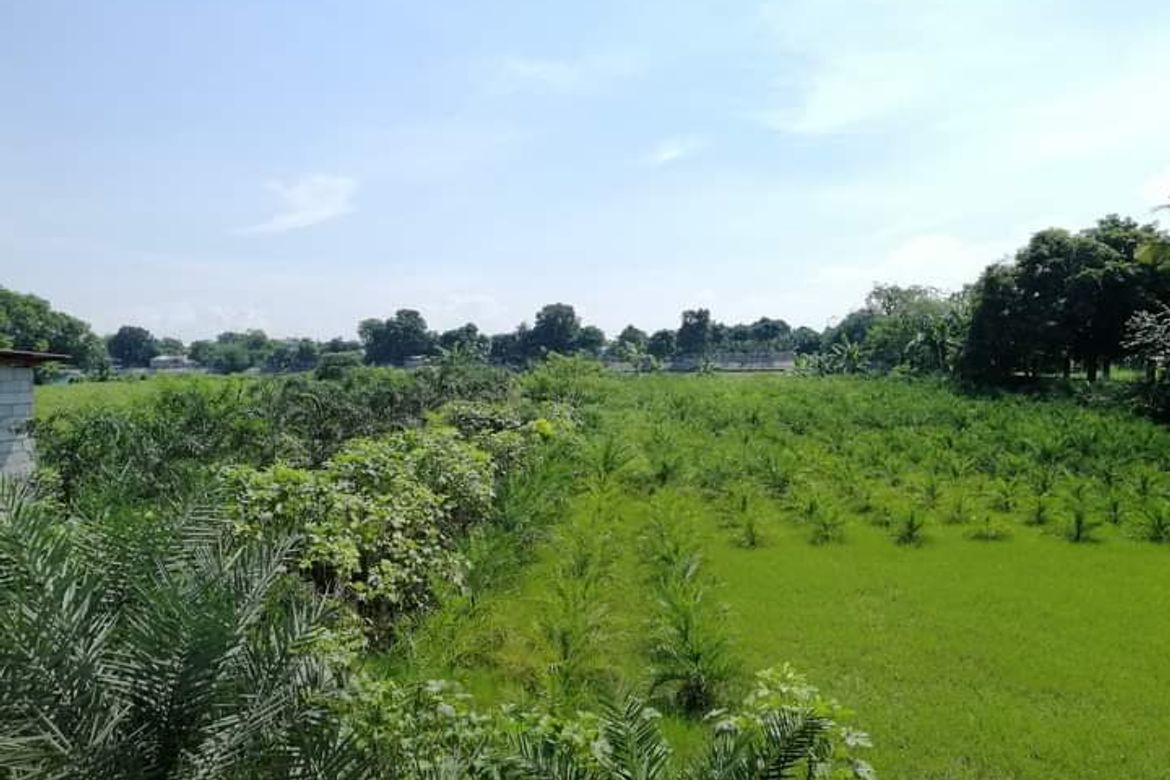 Land for Sale in Pio Cruzcosa, Calumpit, Bulacan – photo 2