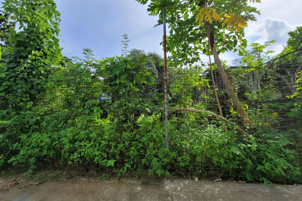 Land for Sale in Pit-Os, Cebu City, Cebu – photo 6