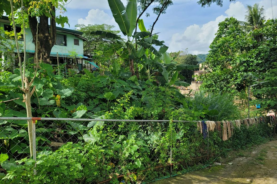 Land for Sale in Pit-Os, Cebu City, Cebu – photo 7