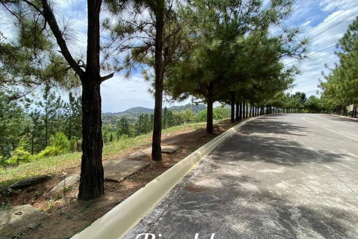 Land for Sale in Pit-Os, Cebu City, Cebu – photo 2