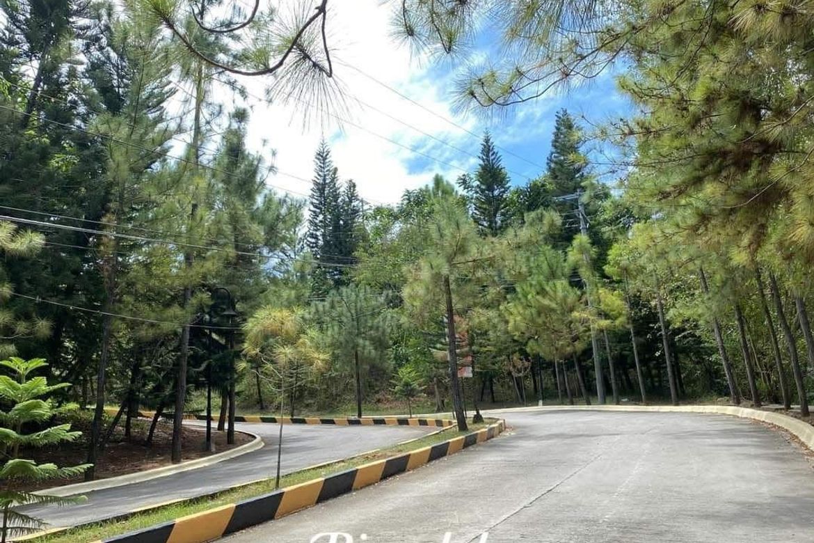 Land for Sale in Pit-Os, Cebu City, Cebu – photo 4