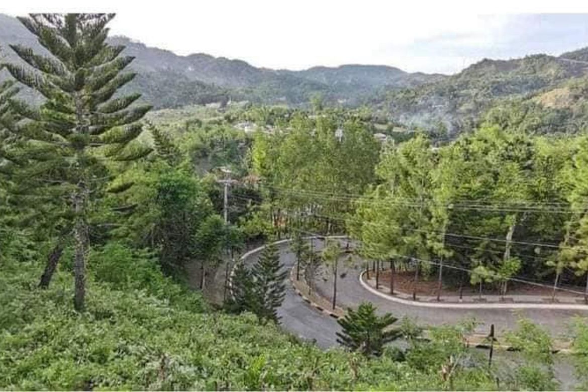 Land for Sale in Pit-Os, Cebu City, Cebu – photo 5