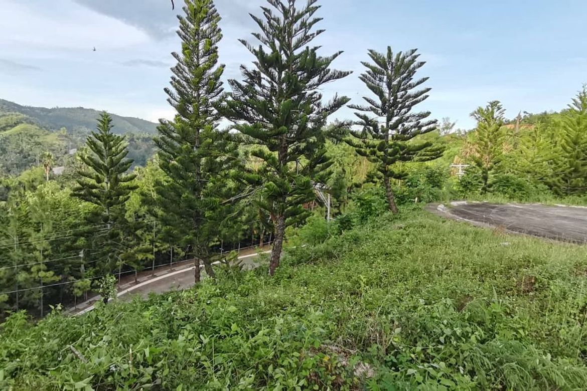 Land for Sale in Pit-Os, Cebu City, Cebu – photo 2