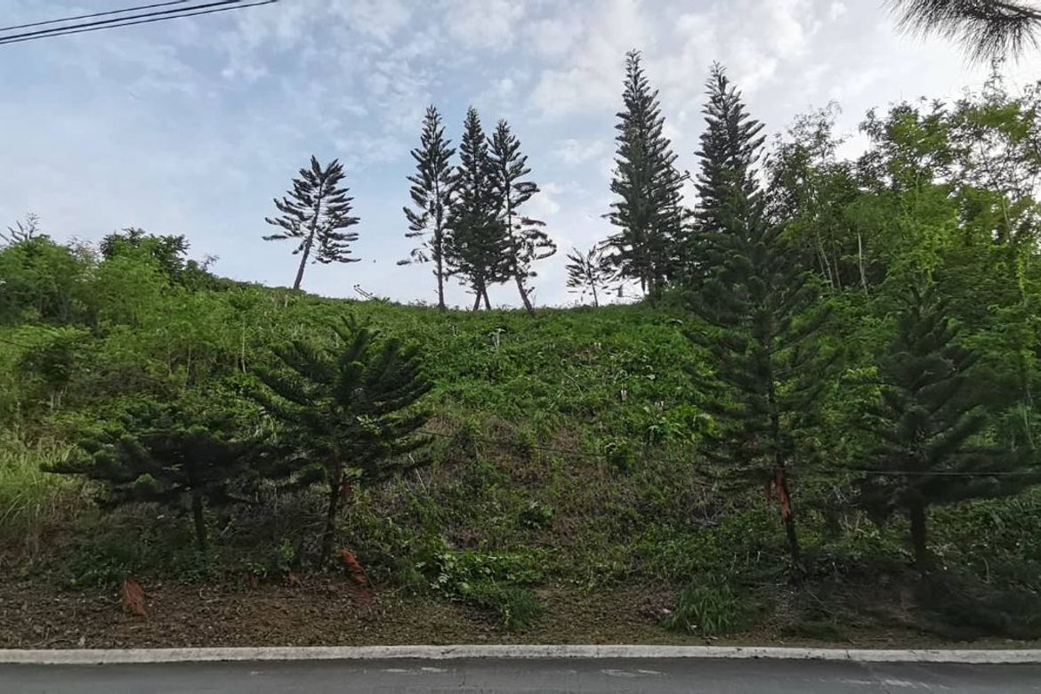 Land for Sale in Pit-Os, Cebu City, Cebu – photo 4