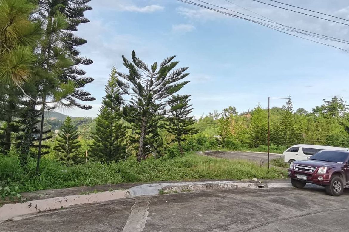 Land for Sale in Pit-Os, Cebu City, Cebu – photo 5