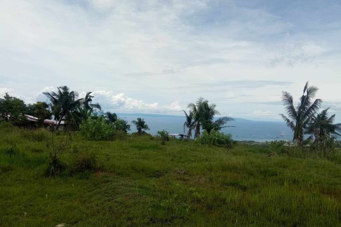 Land for Sale in Pitalo, San Fernando, Cebu – photo 2