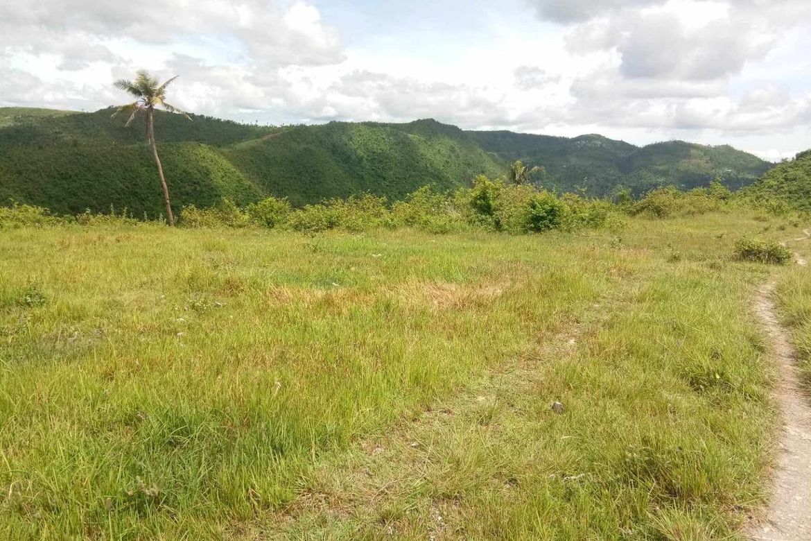 Land for Sale in Pitalo, San Fernando, Cebu – photo 3