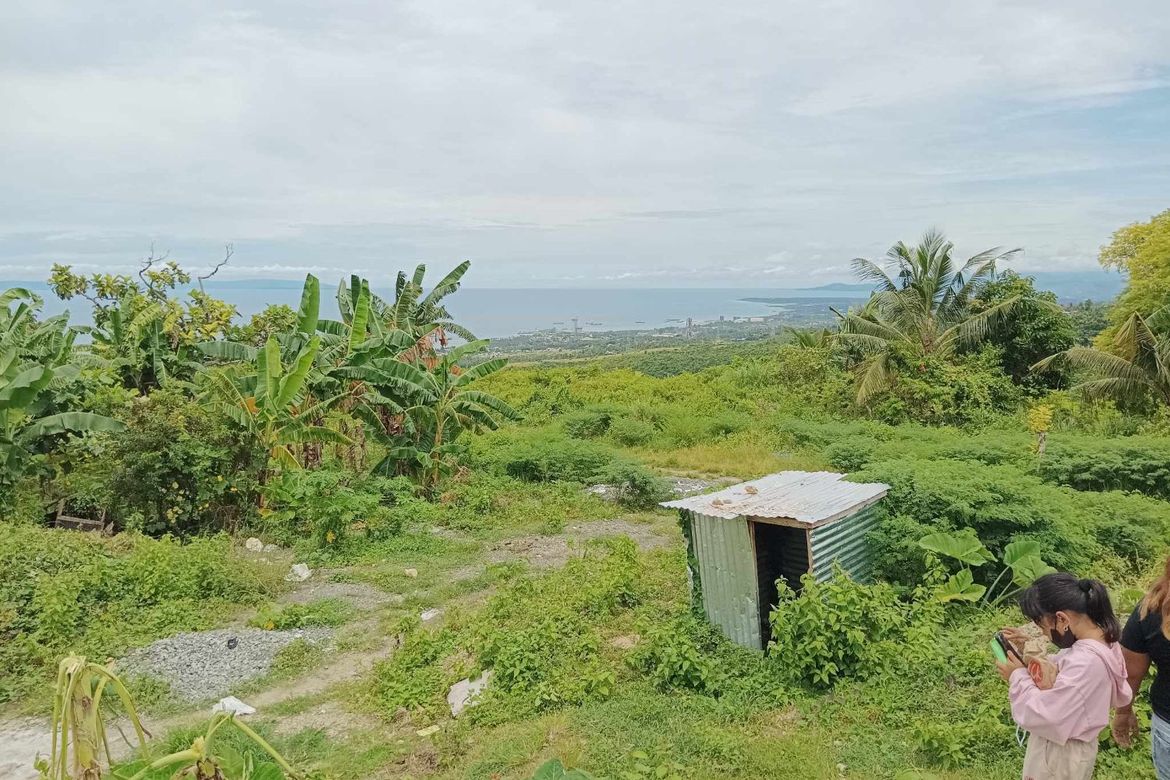 Land for Sale in Pitalo, San Fernando, Cebu – photo 4