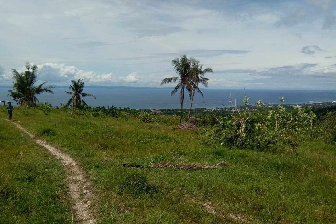 Land for Sale in Pitalo, San Fernando, Cebu – photo 5