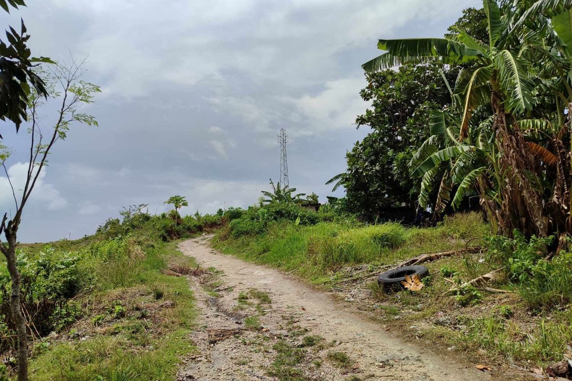 Land for Sale in Pitalo, San Fernando, Cebu – photo 6