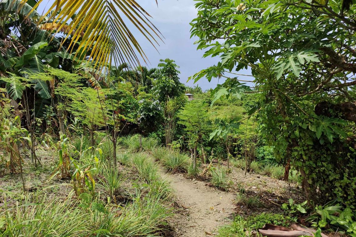 Land for Sale in Pitalo, San Fernando, Cebu – photo 7