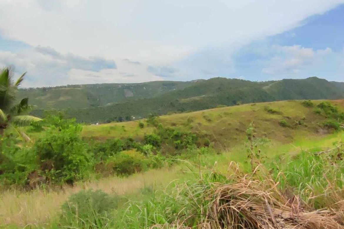 Land for Sale in Pitalo, San Fernando, Cebu – photo 8
