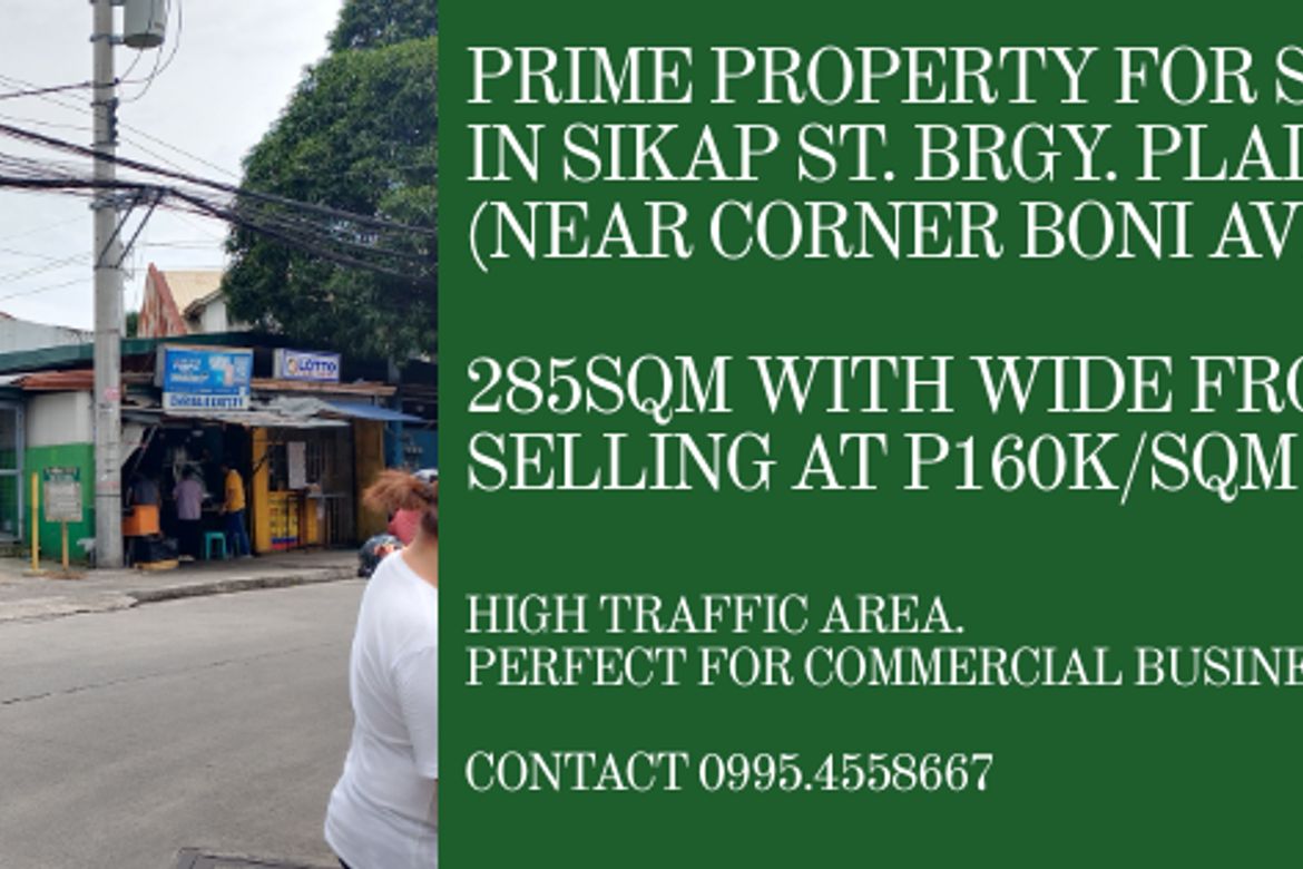 Land for Sale in Plainview, Mandaluyong, Metro Manila