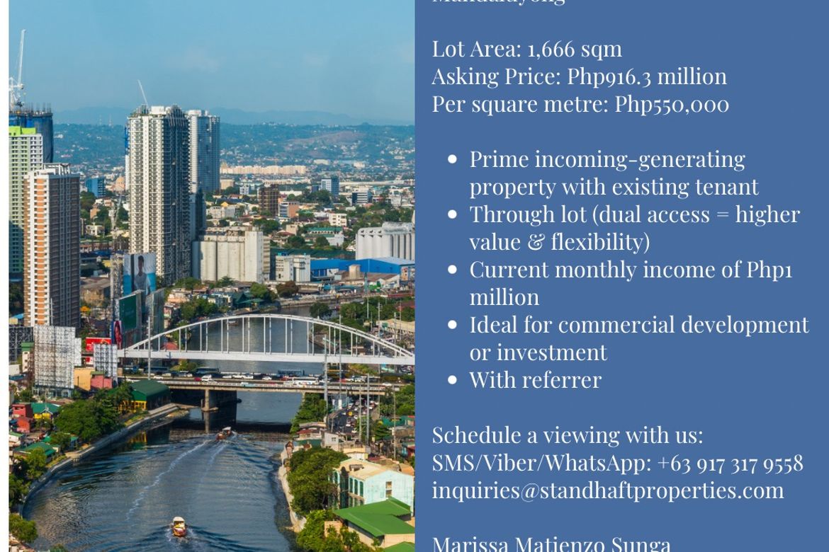 Land for Sale in Plainview, Mandaluyong, Metro Manila near MRT-3 Boni – photo 3