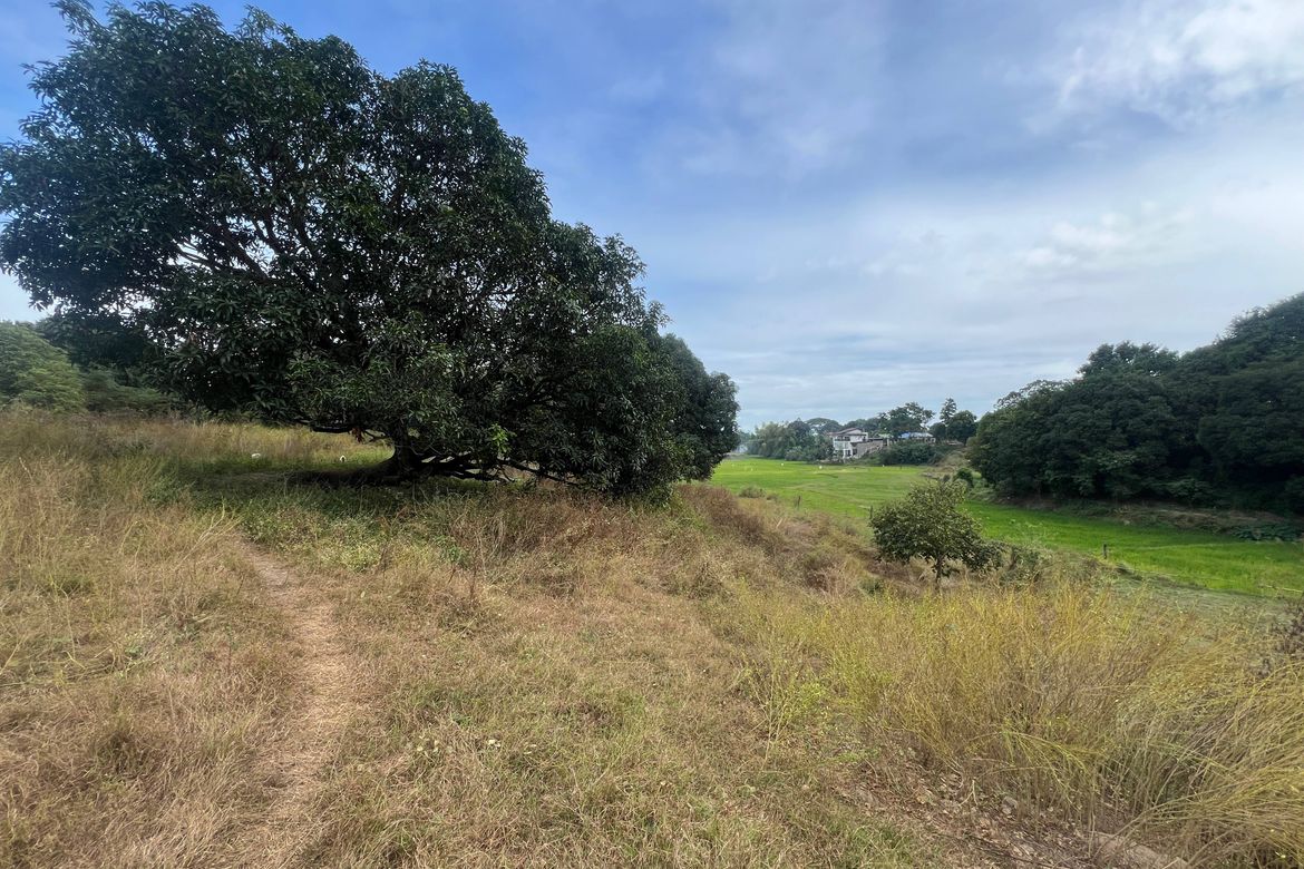 Land for Sale in Planas, Porac, Pampanga