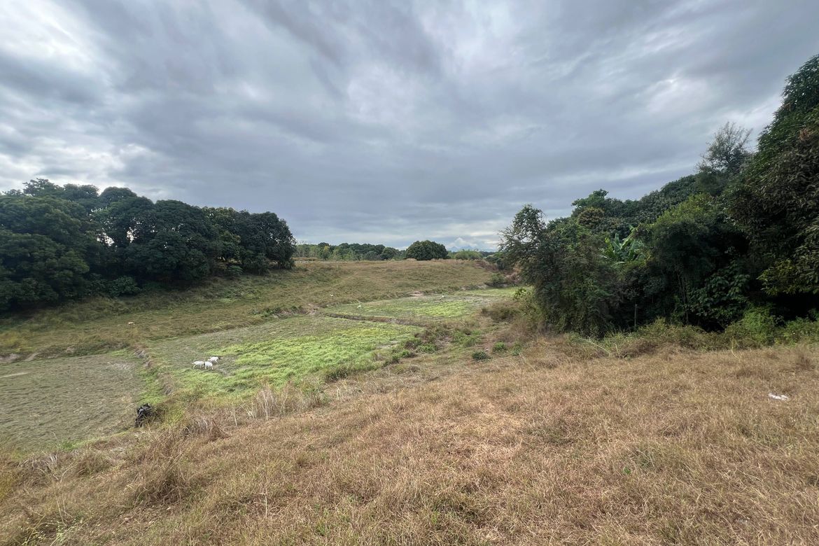 Land for Sale in Planas, Porac, Pampanga – photo 2