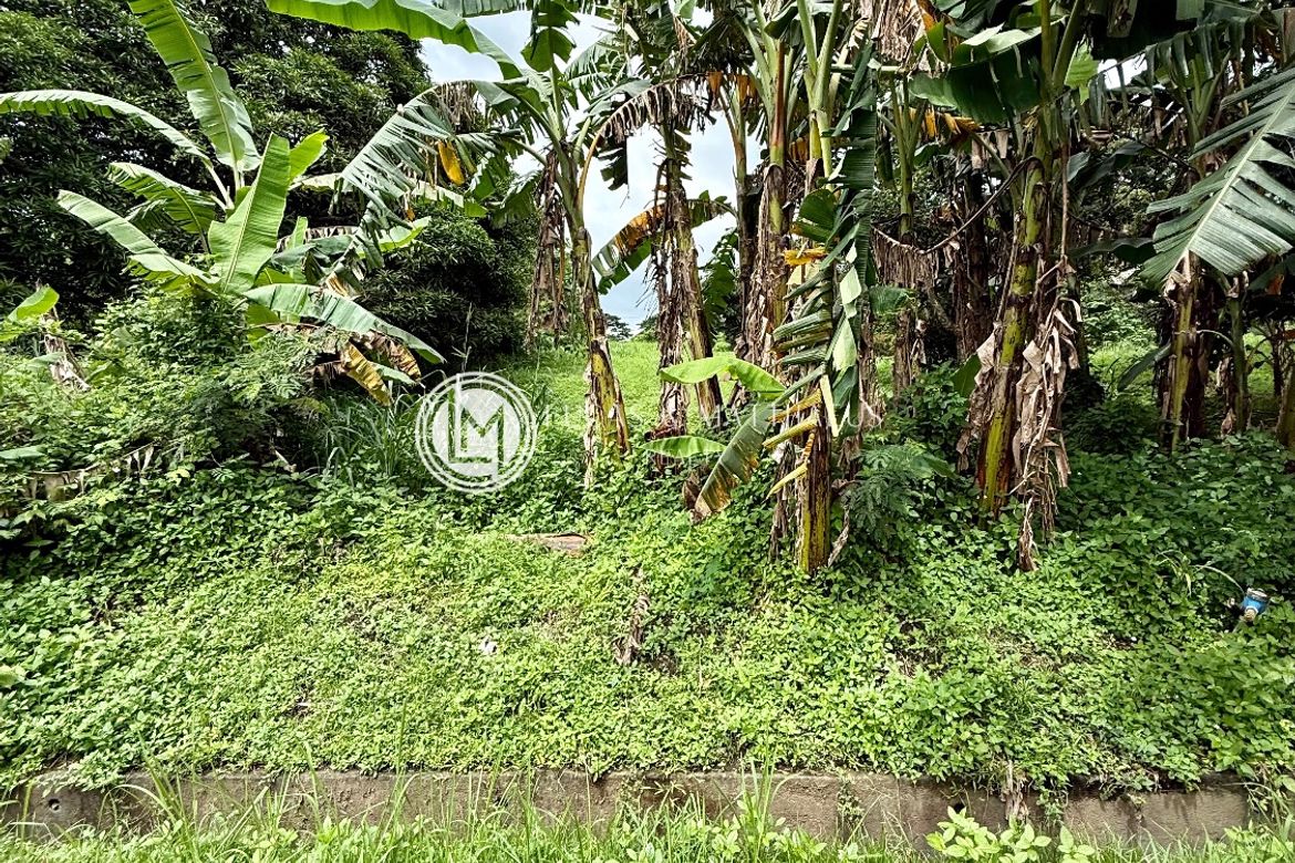 Land for Sale in Plantation Hills at Tagaytay Midlands, Suplang, Tanauan, Batangas – photo 5
