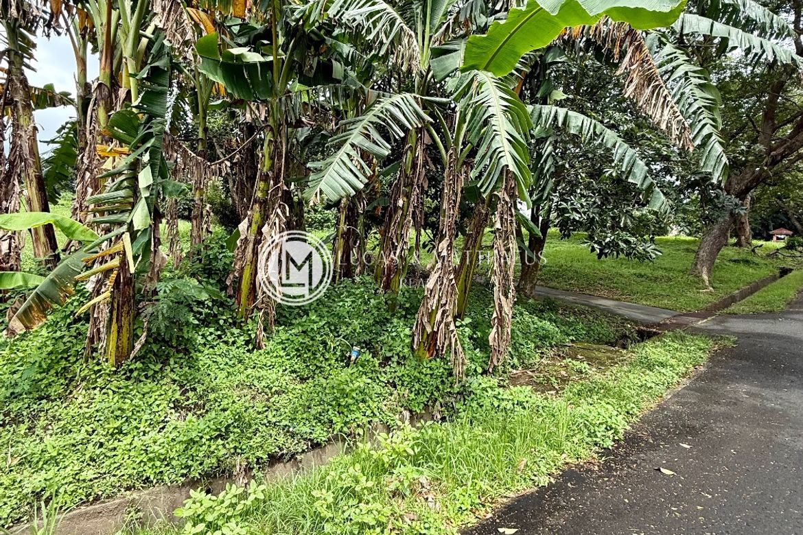 Land for Sale in Plantation Hills at Tagaytay Midlands, Suplang, Tanauan, Batangas – photo 6