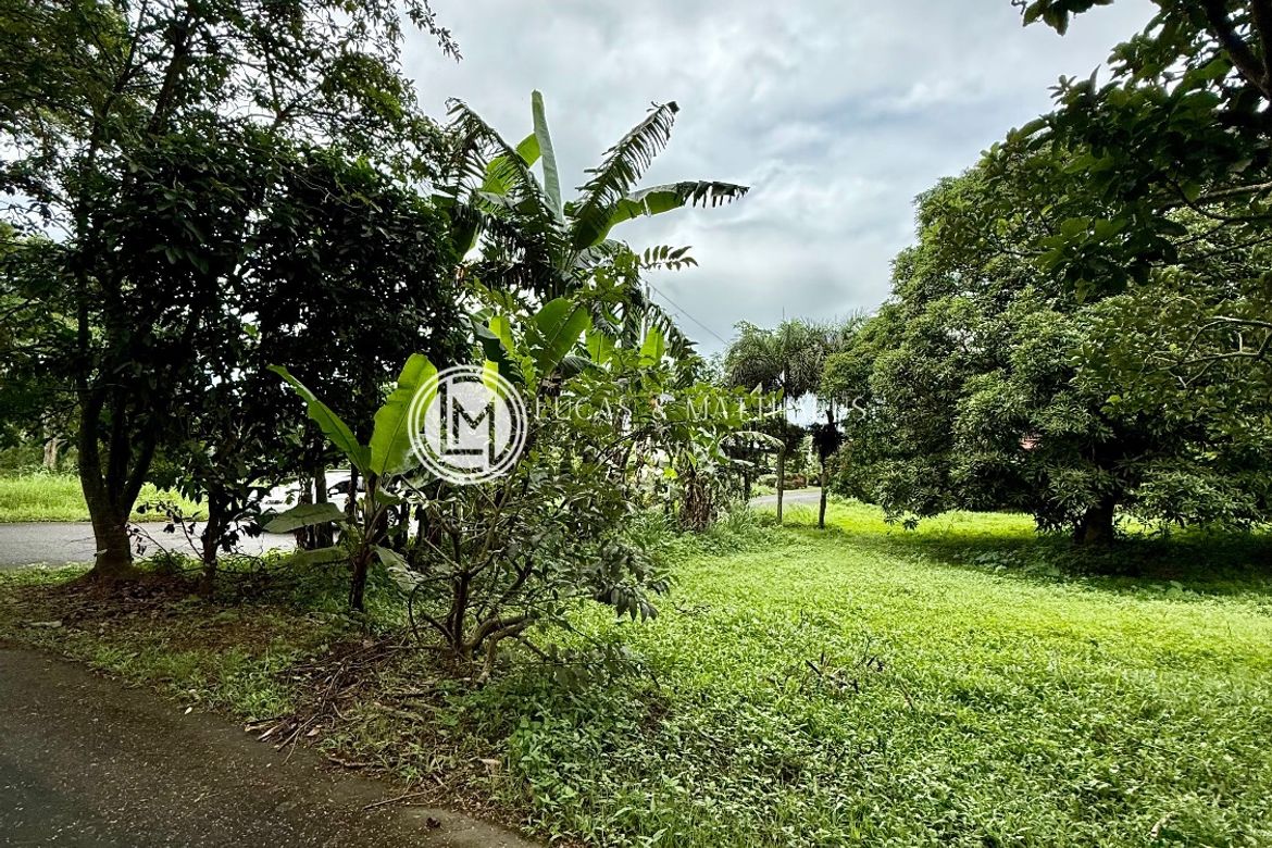 Land for Sale in Plantation Hills at Tagaytay Midlands, Suplang, Tanauan, Batangas – photo 7