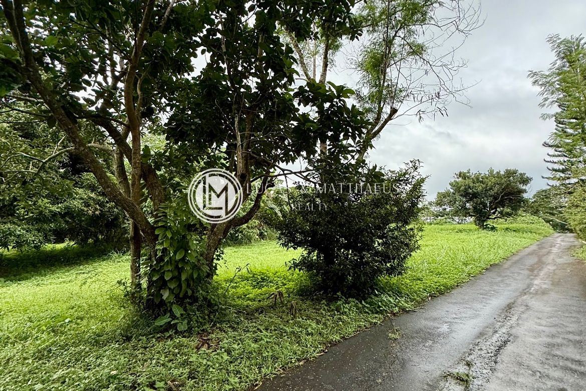 Land for Sale in Plantation Hills at Tagaytay Midlands, Suplang, Tanauan, Batangas – photo 8