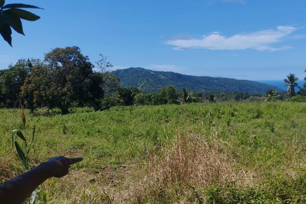 Land for Sale in Plaridel, Claveria, Misamis Oriental