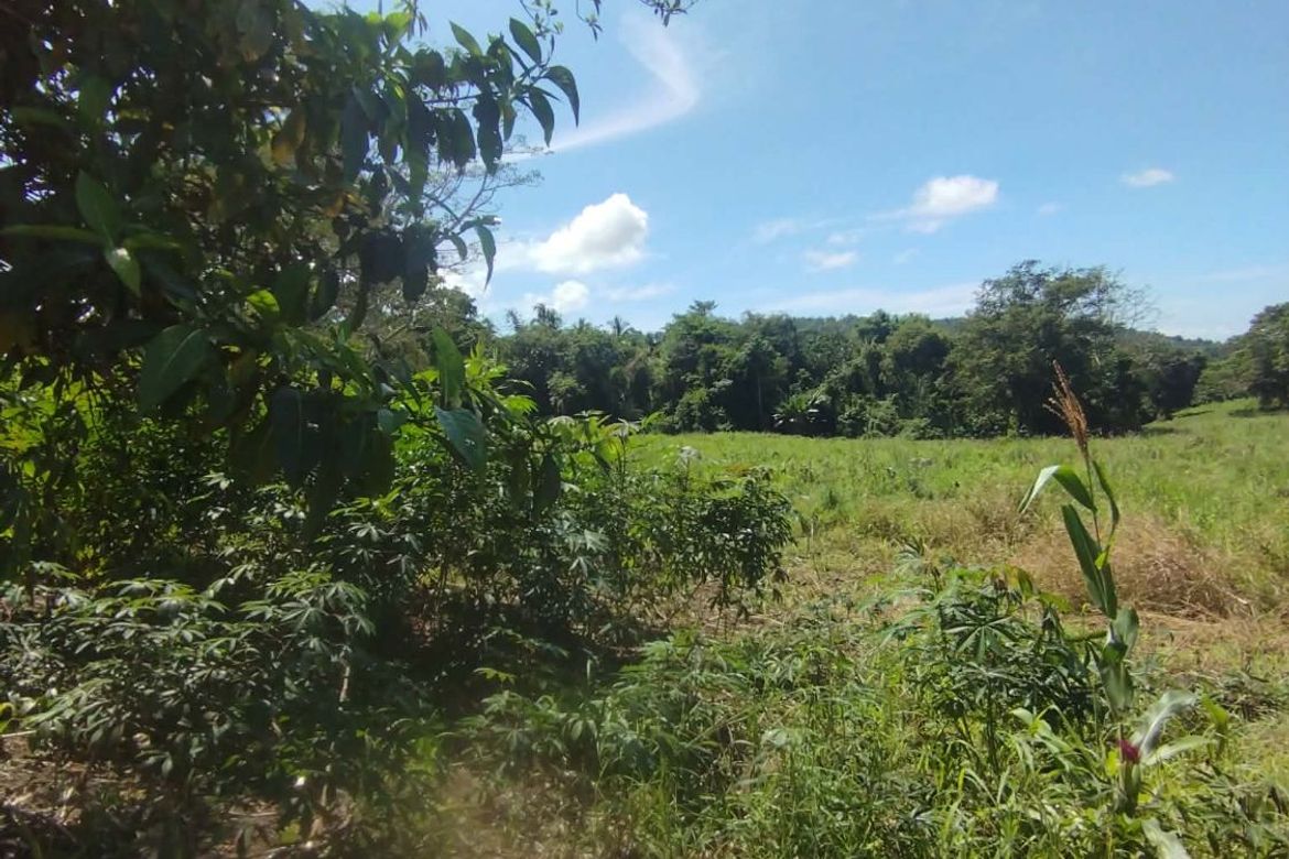 Land for Sale in Plaridel, Claveria, Misamis Oriental – photo 3