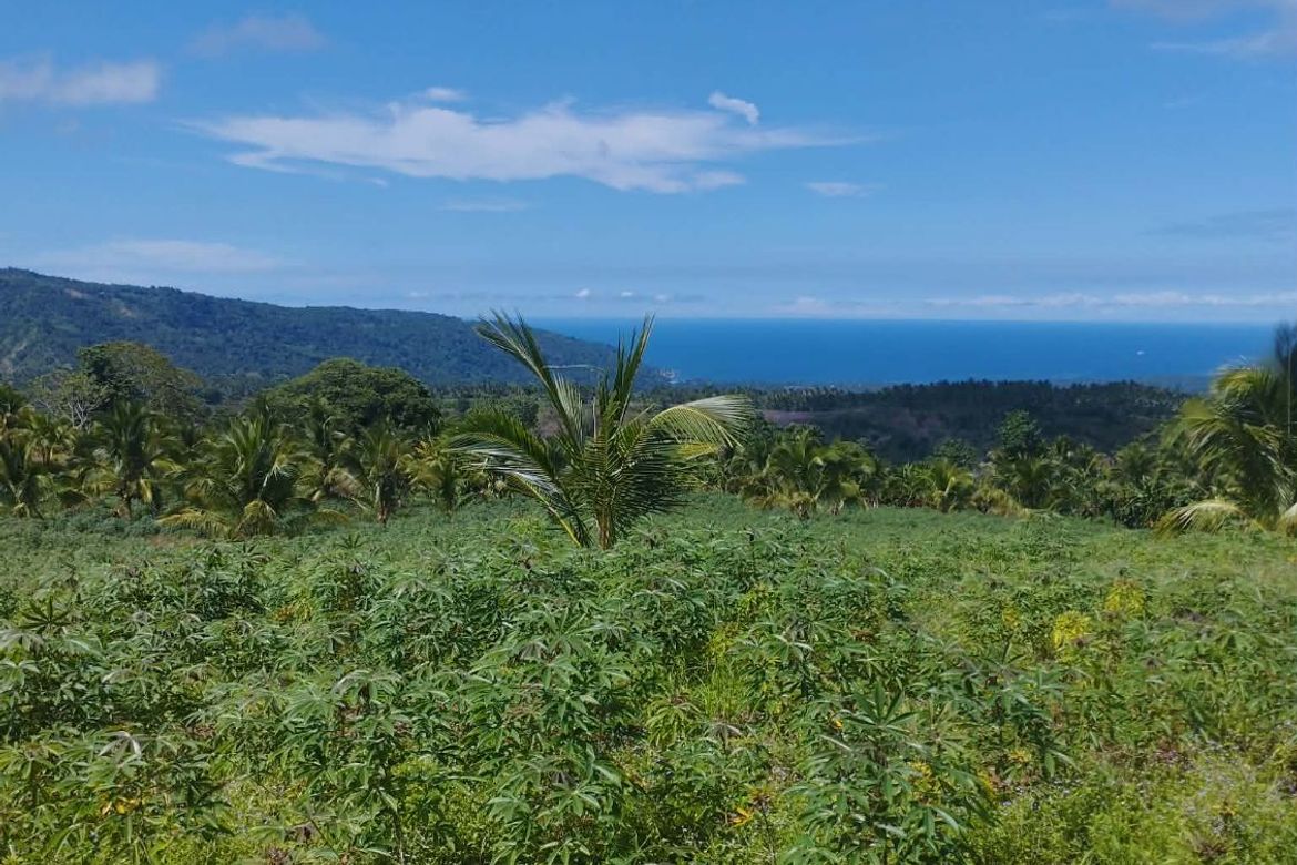 Land for Sale in Plaridel, Claveria, Misamis Oriental – photo 8